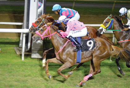 Horse Racing