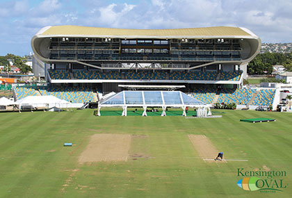 Cricket