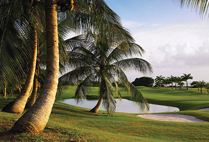 Royal Westmoreland Golf Course